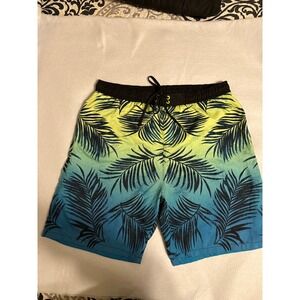 Men's‎ Burnside Swim/Board Shorts Trunk Size Blue/Green Ombré Lined Palm Frondss
